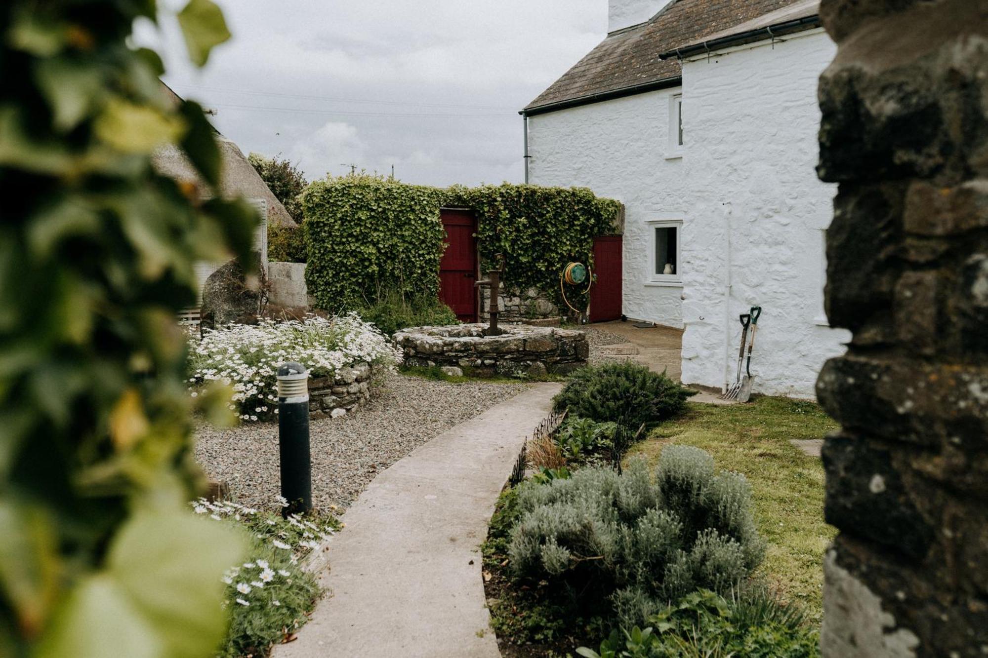 Treleddyn Farmhouse St Davids Exterior foto